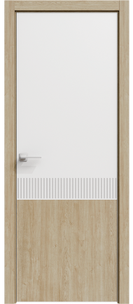 фото двери Rain 5